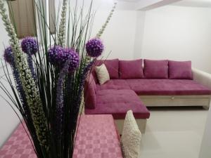 Jasmin White Apartment