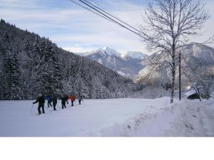 Chalet Fleur des Neiges