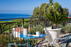 Marias Garden Apartments