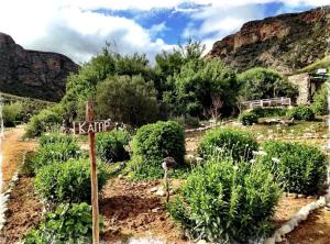 Baviaanskloof Duiwekloof Lodge