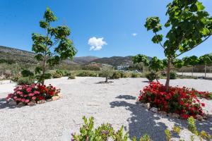 Thomas Villas on the beach Katapola Amorgos Greece