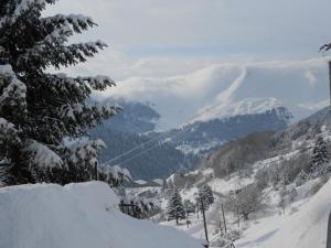 Hotel Olympic Epirus Greece