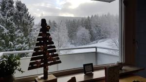 Ferienwohnung Singer Am Erlebnisbocksberg