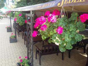 Hotel Jedlina