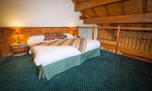 Hotels Lautaret Lodge & Spa : photos des chambres