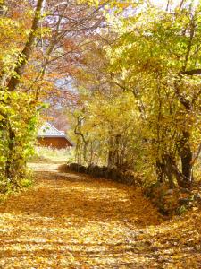 B&B / Chambres d'hotes B&B Fontbriand : photos des chambres