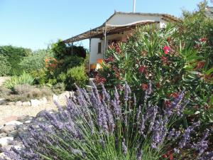 Maisons de vacances Gite le Fare Tchanque : photos des chambres