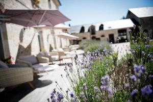 Hotels Domaine De Barive : photos des chambres