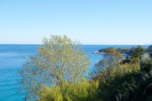 Pelion Orama Pelion Greece