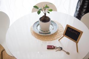 Relaxing Place in Oltrarno