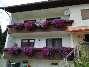 Apartement Ferienwohnung Resi mit traumhaftem Seepanorama Steindorf am Ossiacher See Austria