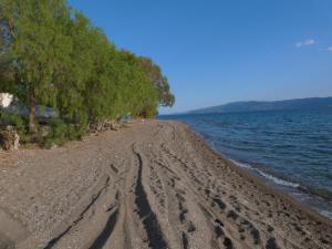 apt 30m from beach Evia Greece