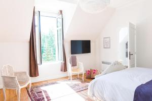 Chateau de Saint-Germain photo 9
