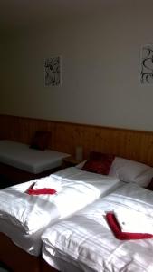 Viesnīca Hotel Potock&yacute; Velke Karlovice Čehija