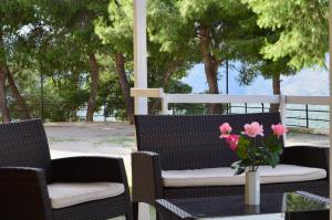 Chrissa Camping Rooms & Bungalows Parnassos Greece