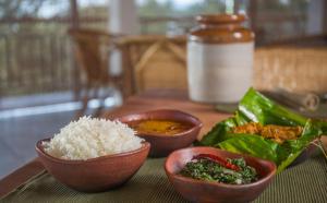 After the Rains - Rainforest Lodge