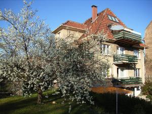 Apartmán Alices-Ferienwohnung Arnstadt Německo