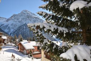 Apartment Haus Tschima Arosa Switzerland