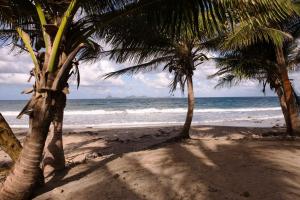 Prospect Road, Sauteurs, Grenada.