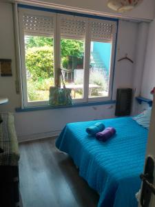 Casa Rafa Playa Grande Mar del Plata