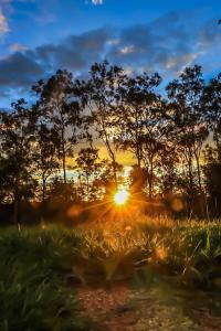 Linga Longa Spiritual Retreat