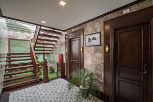 Orchid Trendy Cruise