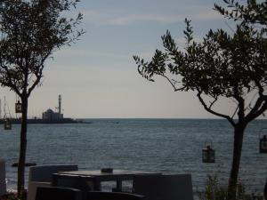 Private Room In a Shared Flat