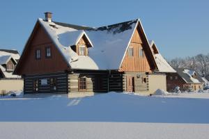 4 star Вила Holiday Villa Vrchlabi Врхлаби Чехия