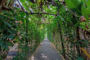 Battambang Dream Bungalows