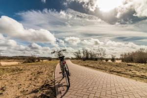 CHALETS IN THE DUNES nearby the beach