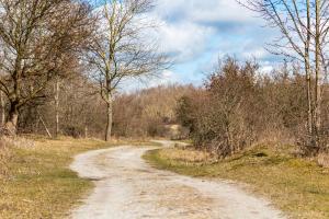 CHALETS IN THE DUNES nearby the beach