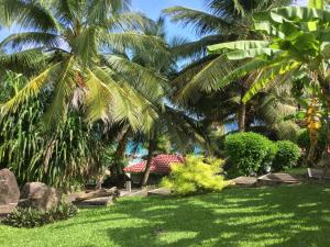 Prospect Road, Sauteurs, Grenada.