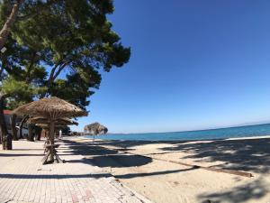 Summer House Pefkochori Halkidiki Greece