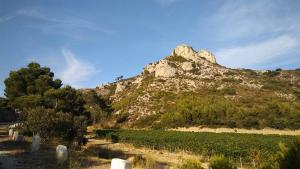 Appartements Le Lapin Blanc : photos des chambres