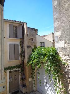 Appartements Le Lapin Blanc : photos des chambres