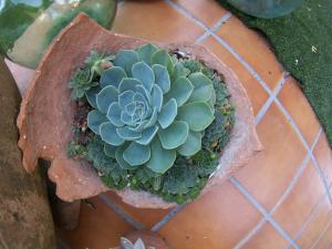 El Rencuentro Casa Rural de Gredos