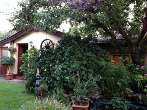 Ferienwohnung-Haus-Auer