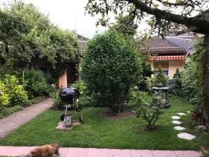 Ferienwohnung-Haus-Auer - 皮丁