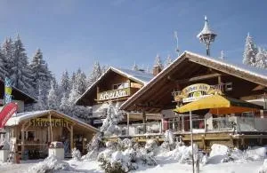 Arber Alm - Bayerisch Eisenstein