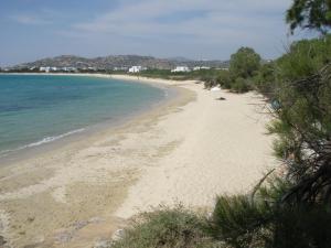 Poseidon Naxos Greece