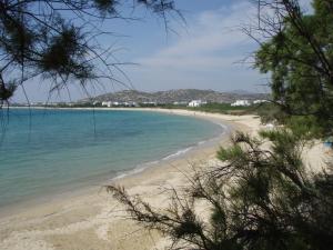 Poseidon Naxos Greece