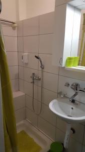 Apartment Roxana Centar