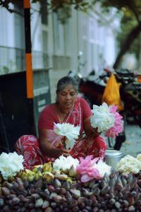 No.4, Busy Street, Pondicherry 605001, India.