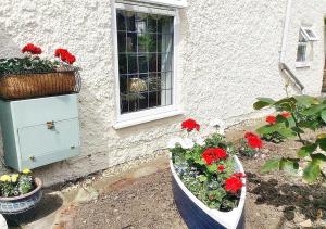 The Ultimate Romantic Getaway! Cosy Cottage surrounded by Wildlife with Lakeside views, Log Burner & miles of Sandy Beach on your Doorstep!at the Best Location in Mablethorpe! For that "Special" Seaside experience!