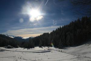 Lodges La Chanterelle - Mountain Lodge : photos des chambres