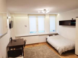 Luxurious Studio next to Central Metro station