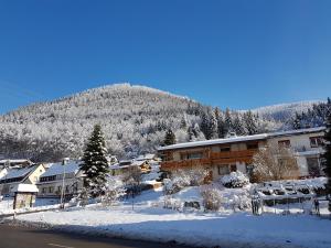 Apartmán Feldberg-Holiday Todtnau Německo