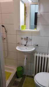 Apartment Roxana Centar
