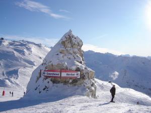 Chalets Ski Chalet - Chez Helene Ski : photos des chambres