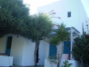 Kolona Studios Naxos Greece